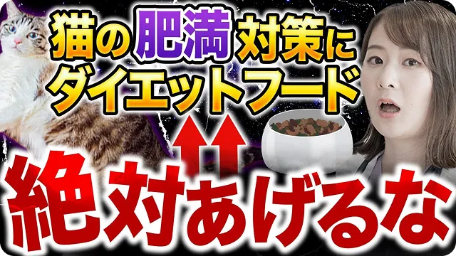 獣医が教える猫の食事指導
【さやか先生】